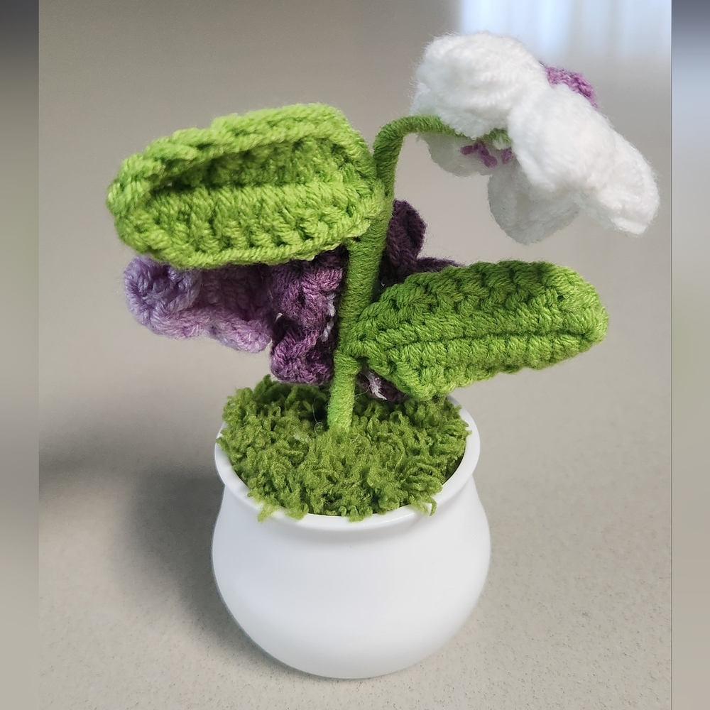 Handcrafted Crochet Daisy Flower Pot - Picture 2 of 7